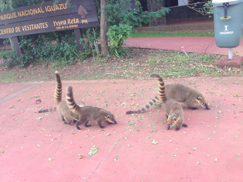 2015-04-04 08.20.38-1