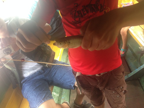 2015-04-11 16.38.01-2