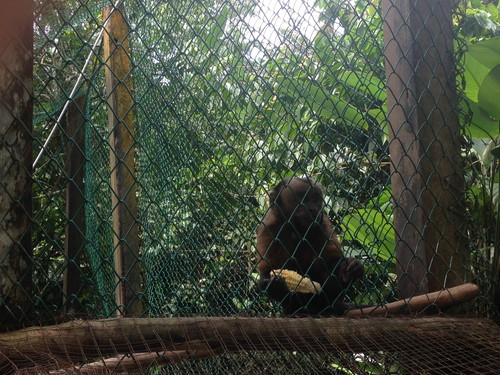 2015-04-12 11.20.39-1