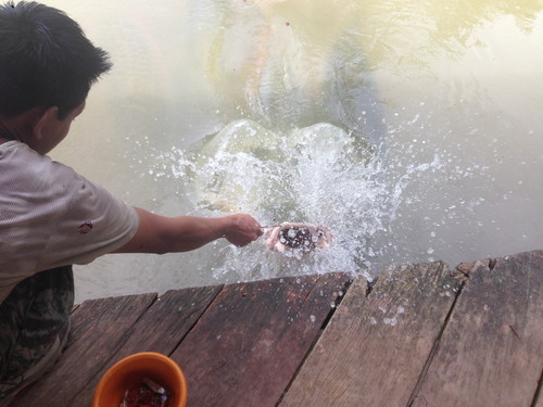 2015-04-13 10.58.24-1