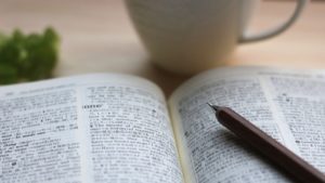 PHPとRubyとJavaだったら初心者はどのプログラミング言語を勉強するべきか